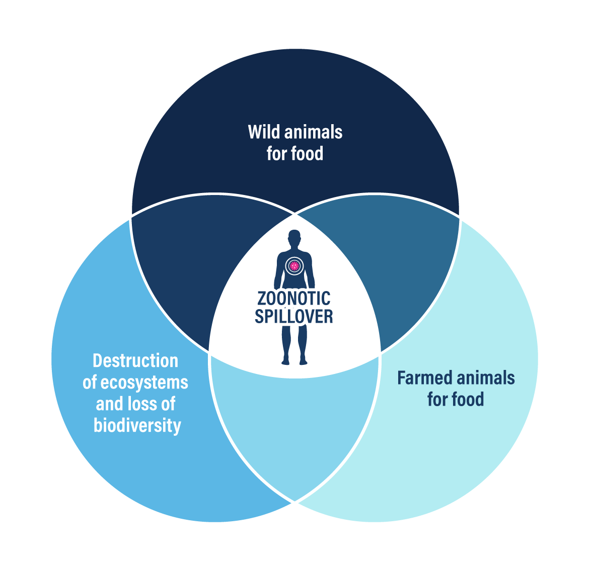 PV_Zoonotic_Spillover_Venn_Diagram