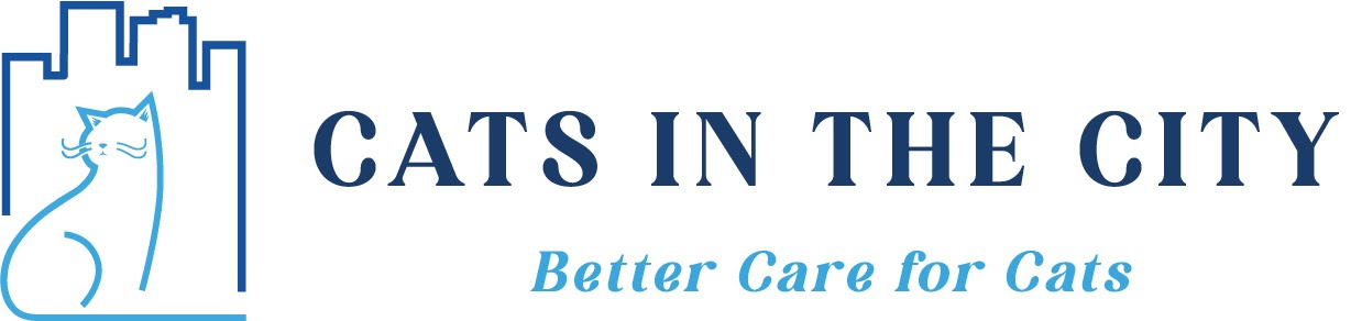 CITC Logo