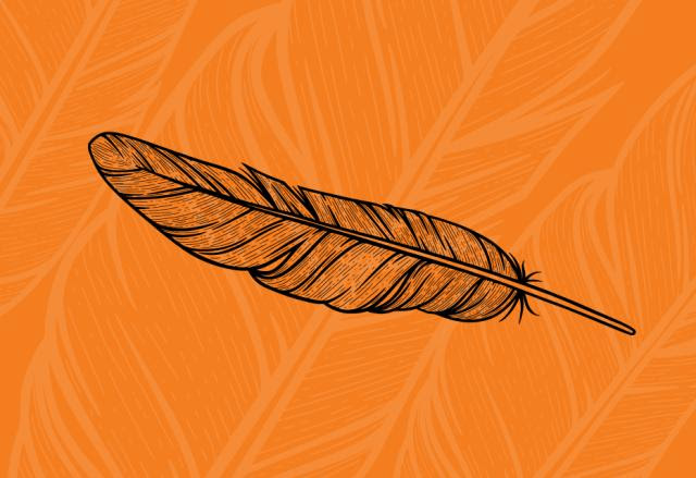 A single feather on an orange background