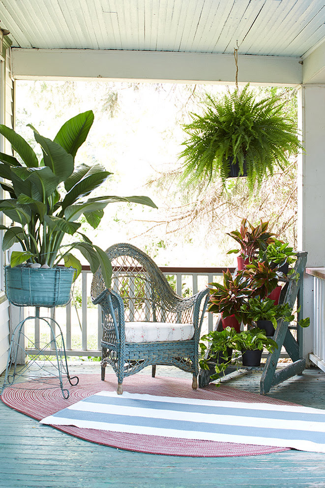 GIVE YOUR HOUSEPLANTS A SUMMER VACATION Spathiphyllum-Red-Aglaonema-Pothos