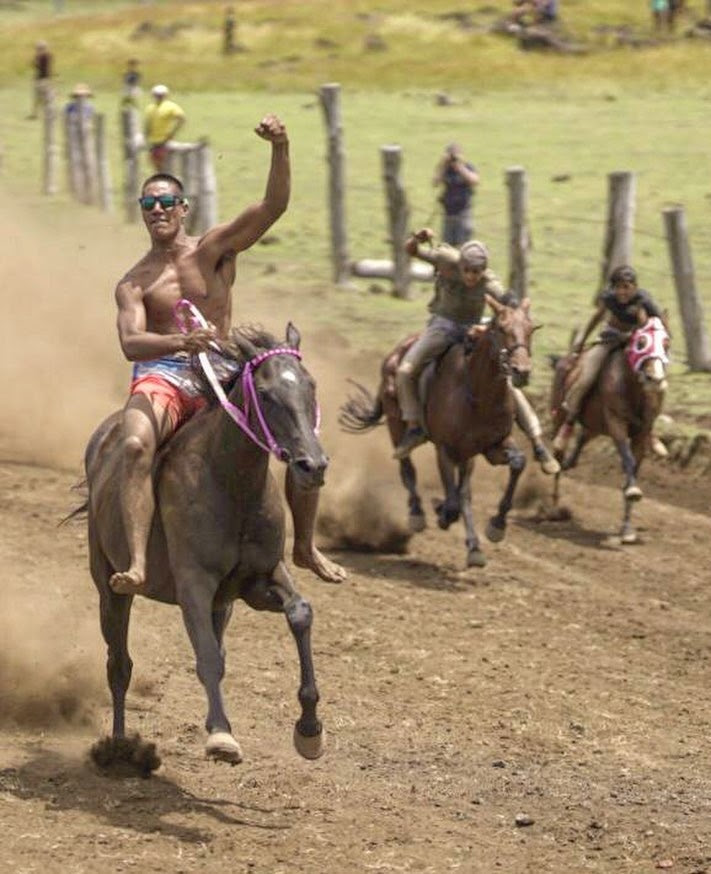 carrera-caballos-rapa-nui