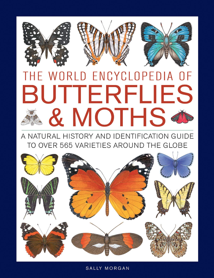 The World Encyclopedia of Butterflies & Moths: A Natural History and Identification Guide to Over 565 Varieties Around the Globe in Kindle/PDF/EPUB