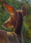 "Morning Deer" - Posted on Monday, November 10, 2014 by Marilyn Place