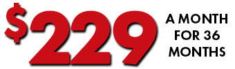 229 MO 36 MO