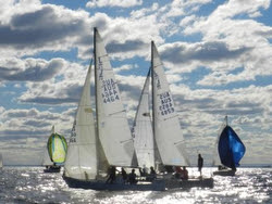 J/24s sailing off Melbourne, Australia