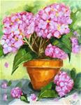 Pink Hydrangeas in Pot - Posted on Saturday, February 14, 2015 by kim Peterson