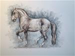 PIAFFE DAPPLED GRAY ANDALUSIAN  Draw 15 - Posted on Friday, January 16, 2015 by Sheri Cook