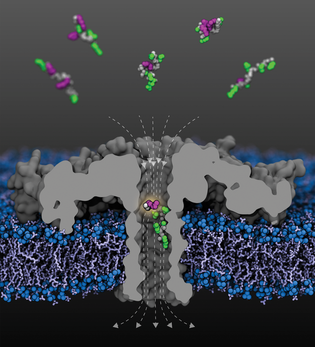 Using nanopores to detect epigenetic changes faster