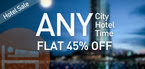 45% off on all Hotel Bookings Till 14 Nov