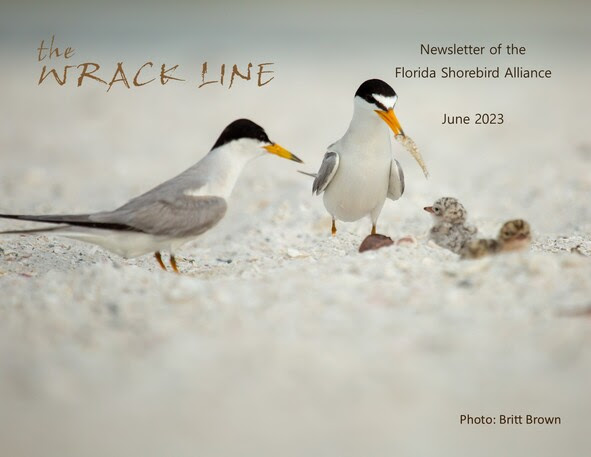 June cover photo by Britt Brown