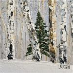 Silver Birches With Fir Tree - Posted on Saturday, January 17, 2015 by Lianna Klassen