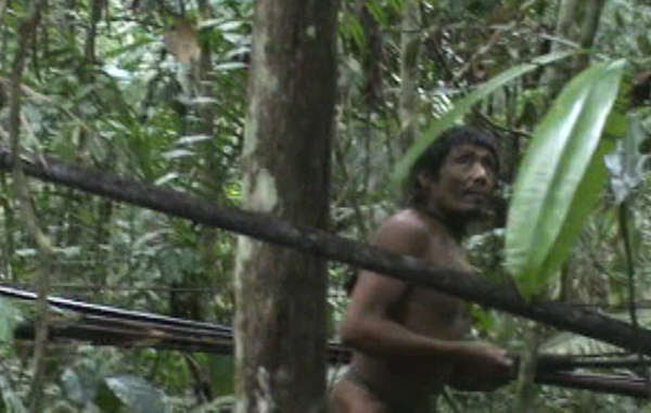 A Brazilian government team took unique footage of the Kawahiva during a chance encounter in the Amazon in 2011, proving their existence