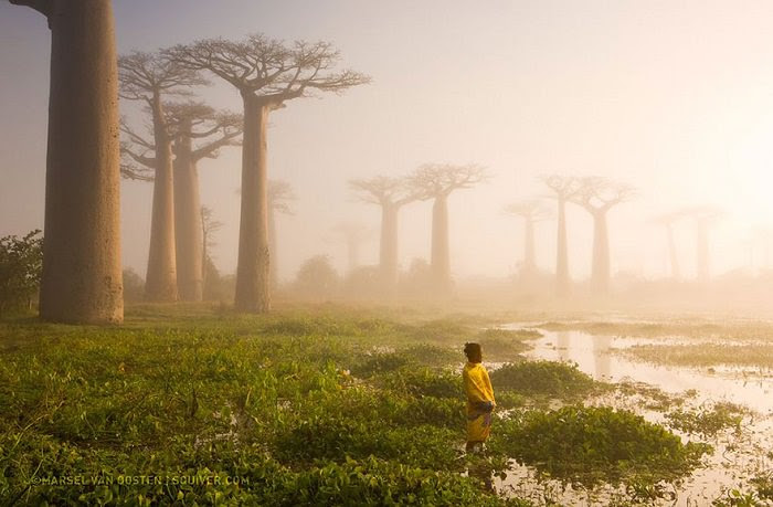 National Geographic 2015