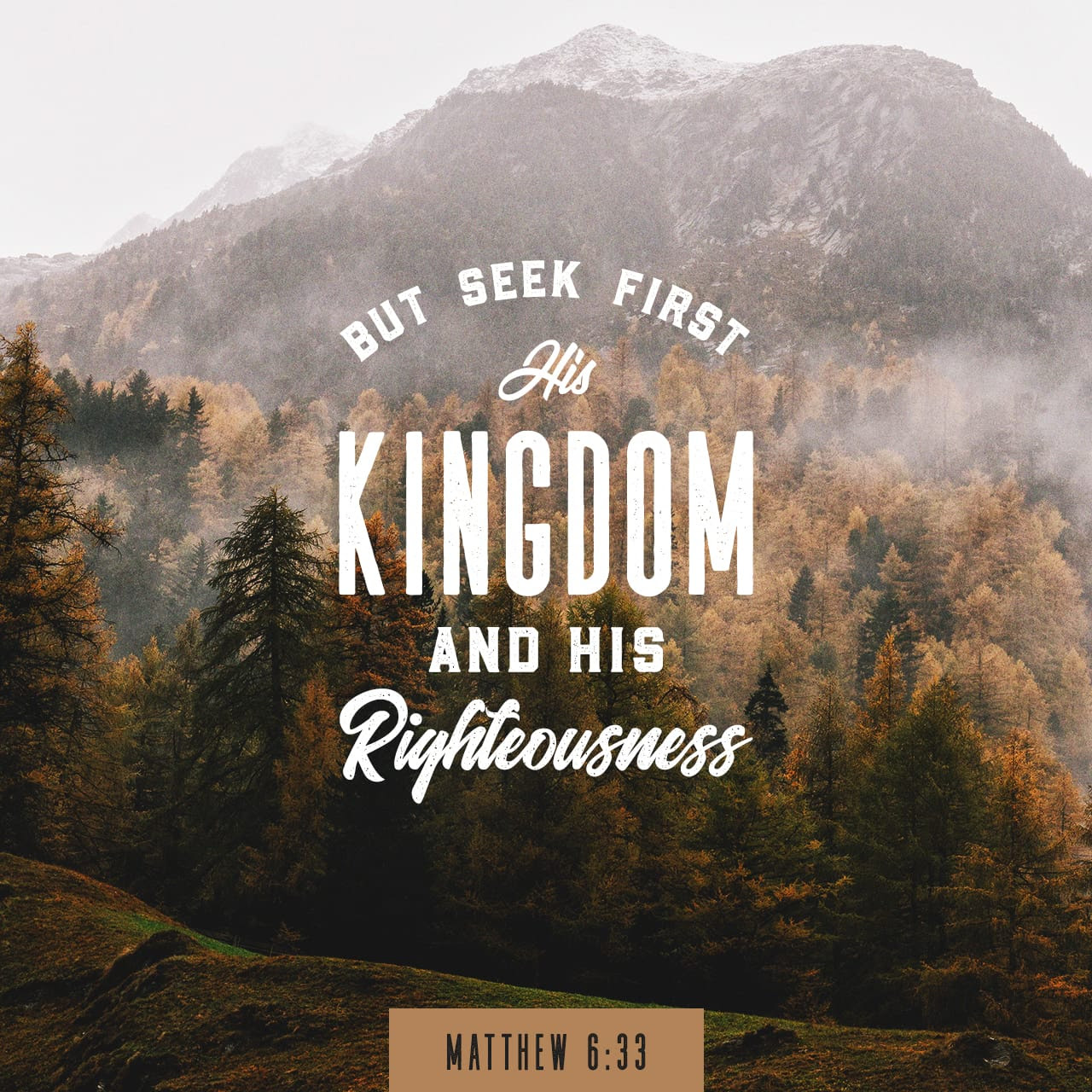 Bible Verse of the Day - day 138 - image 34740 (Matthew 6:33)