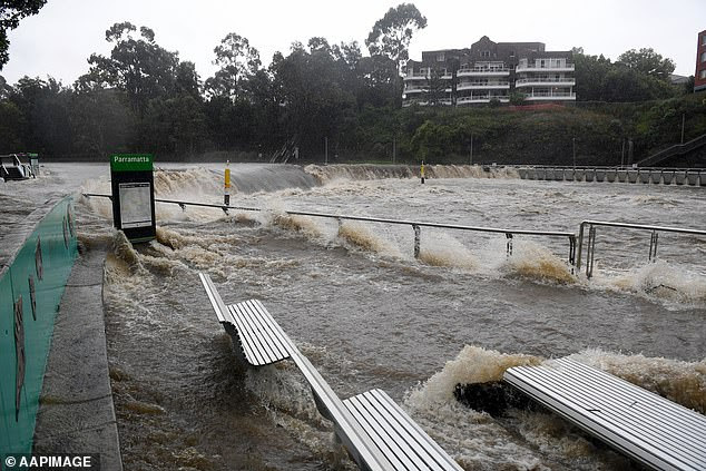 Definitely no ferries for commuters on Saturday, with more rain forecast across the state of NSW