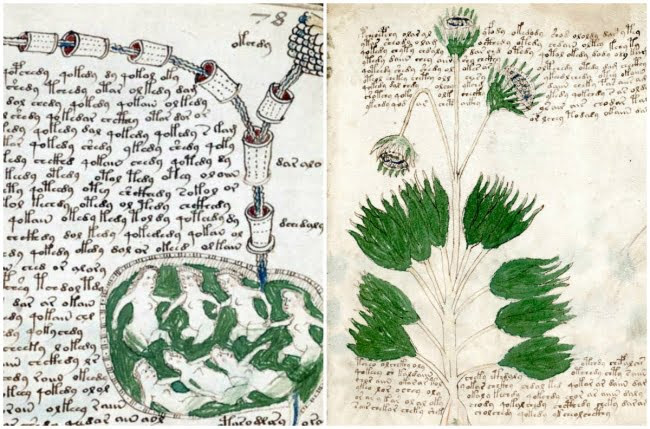 obiecte misterioase, manuscrisul Voynich