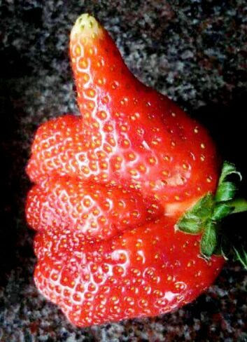 Thumbs-up-Strawberry