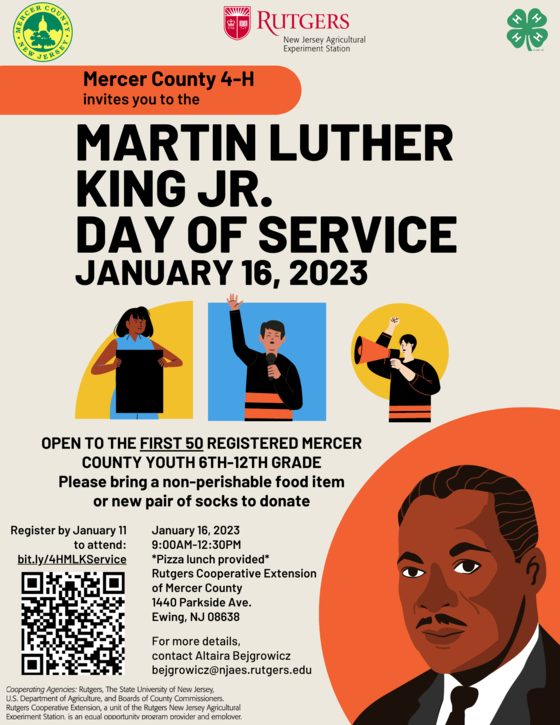 MLK service day