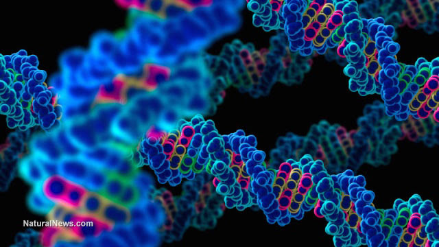 Gene editing with no boundaries now aggressively pursued by China ... Plants, animals and even soldi DNA-Strand-Computer-Model-Closeup