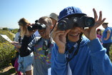 Students learn about local birds by playing a familiar game on the San Diego Bay National Wildlife Refuge