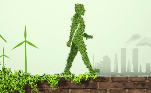 Fuente de la imagen: Energías renovables en México