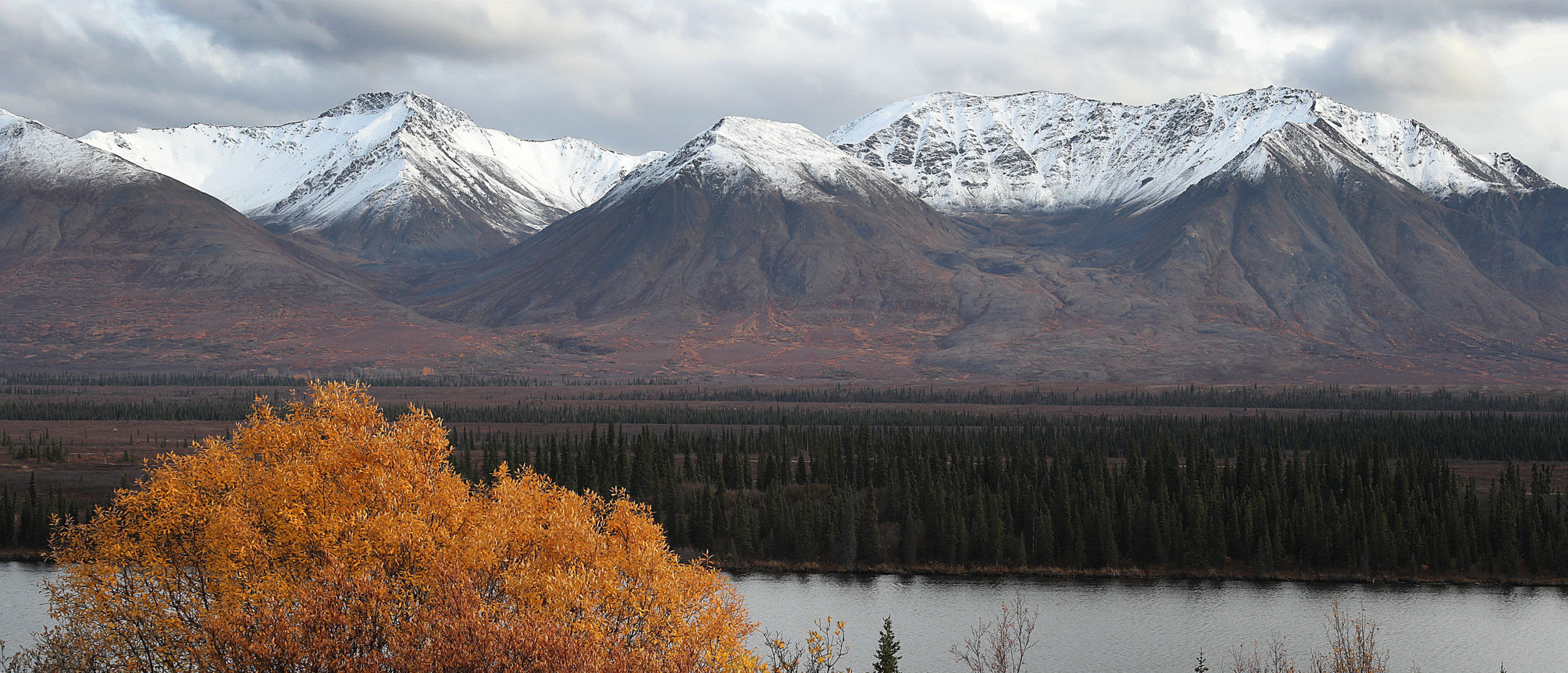 ‘Unprecedented Warmth’: Alaska Records Highest December Temperature Ever