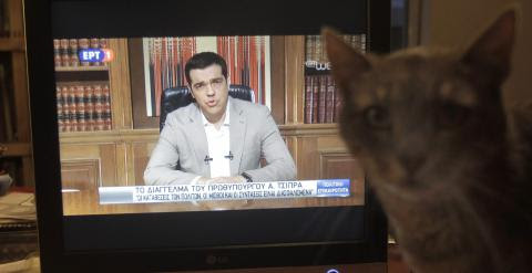 Un gato junto a un televisor que emite el mensaje televisado del primer  ministro griego, Alexis Tsipras, anunciando el cierre de los bancos y controles de capital.. EFE/EPA/ORESTIS PANAGIOTOU