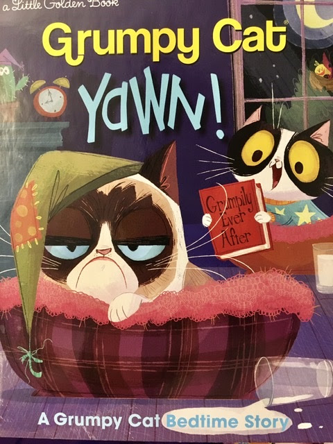 Yawn! a Grumpy Cat Bedtime Story (Grumpy Cat) PDF