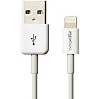 AmazonBasics Apple Certified USB Cable