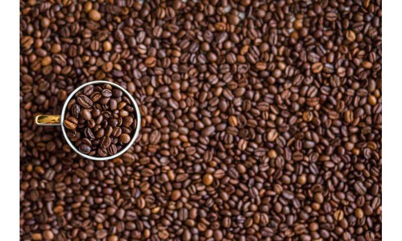 coffee beans