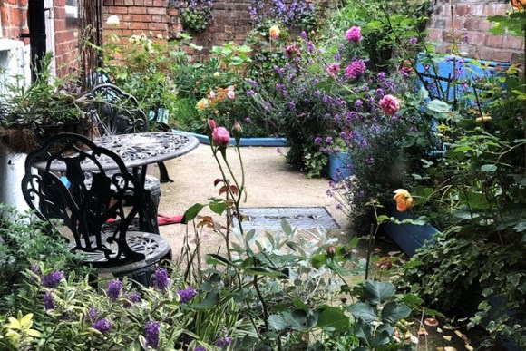 Urban English garden with roses