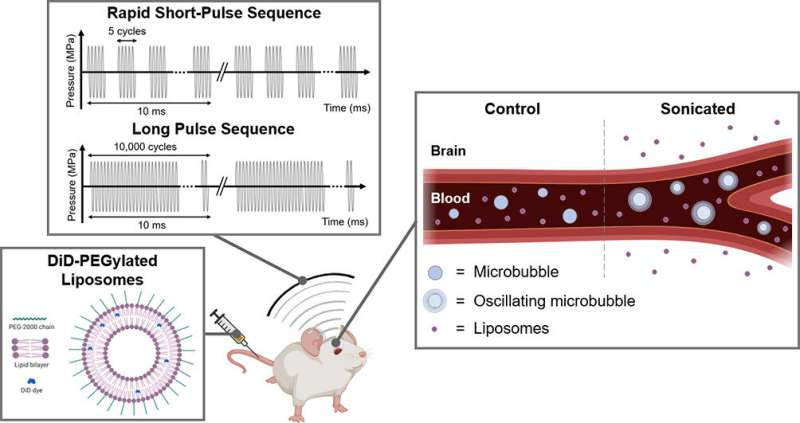 Non-invasive method to deliver drugs to the brain