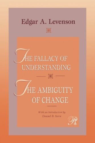 The Fallacy of Understanding & The Ambiguity of Change (Psychoanalysis in a New Key Book Series)