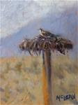 Osprey in Summer - Posted on Monday, January 5, 2015 by Jean McLean