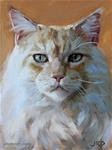 Big White Cat - Posted on Monday, December 15, 2014 by J. Dunster