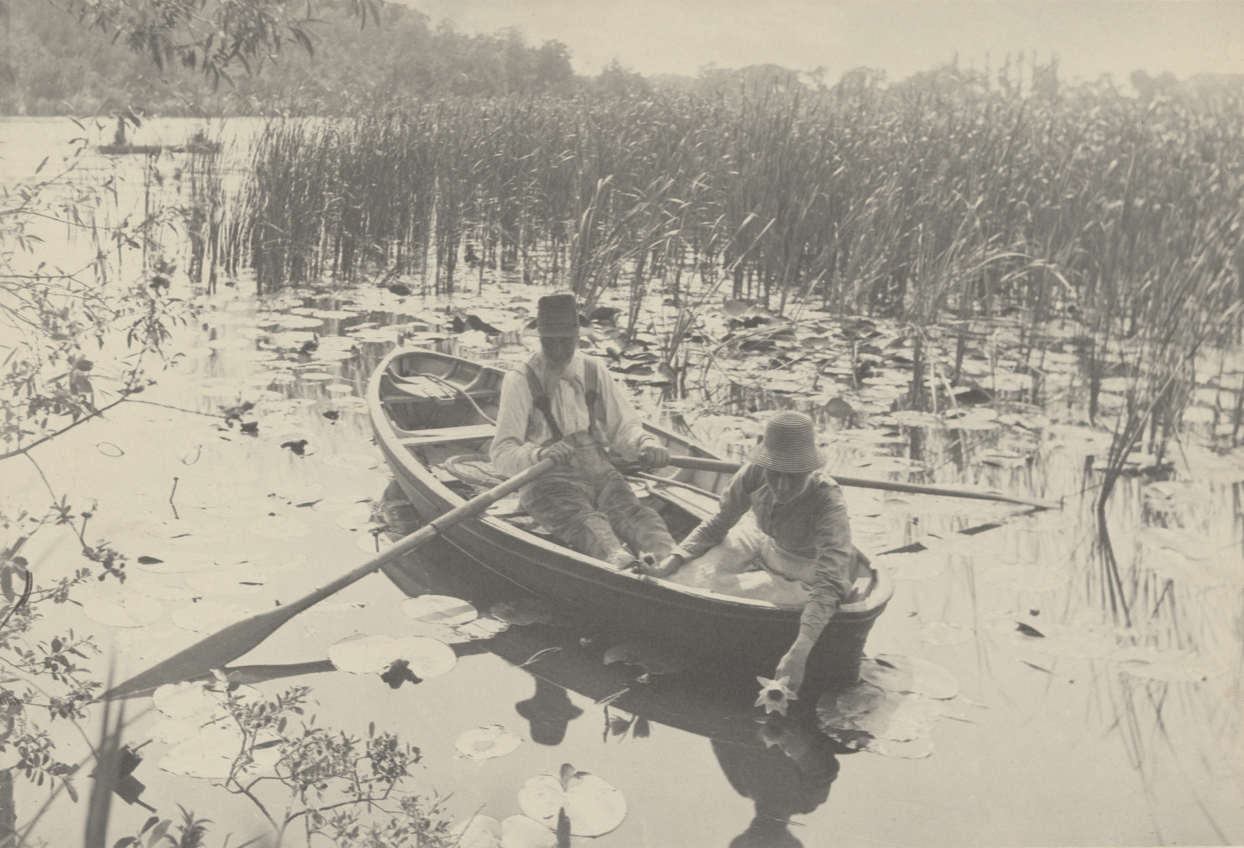 Black and white photograph of two people on a rowboat gathering water lilies. Rowing art by Peter Henry Emerson