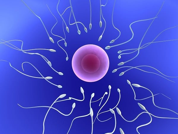 A promising new step to resolve male
infertility but its ethical assessment will have to framed within the assisted procreation techniques difficulties