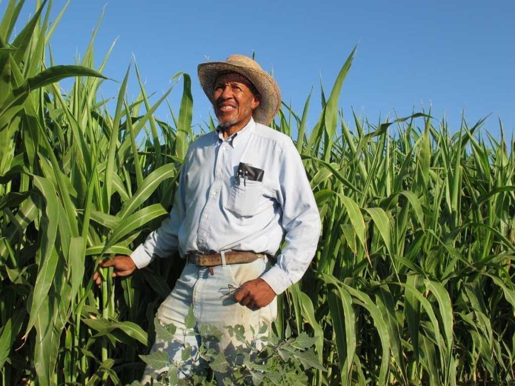 black owned farms