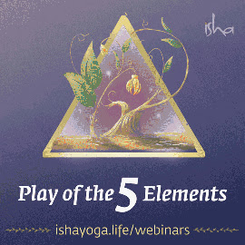 Play of the 5 Elements