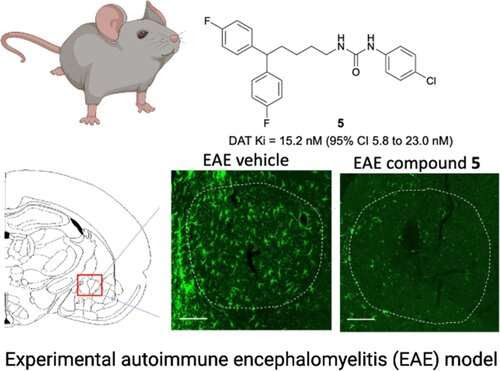 Pharmacy researchers receive patent for chemical probe