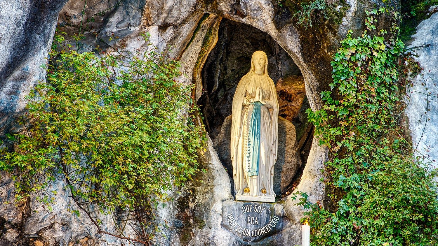 Orędzie Papieża Franciszka na XXX Światowy Dzień Chorego - Vatican News