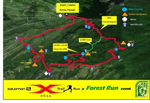 forest-run-2016