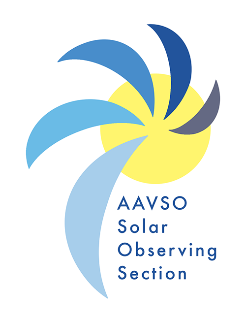 A circle with swoops coming out of the center. Swoops are similar to the star arms of the AAVSO swirly star logo.