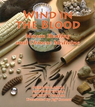Wind in the Blood: Mayan Healing and Chinese Medicine PDF