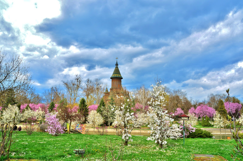 parc-beda-timisoara-primavara