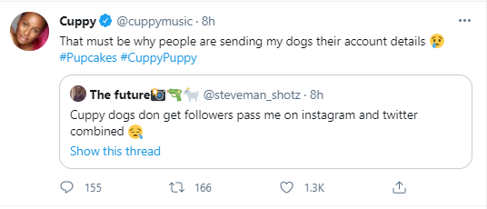 "People are sending my dogs their account details" DJ Cuppy reveals 