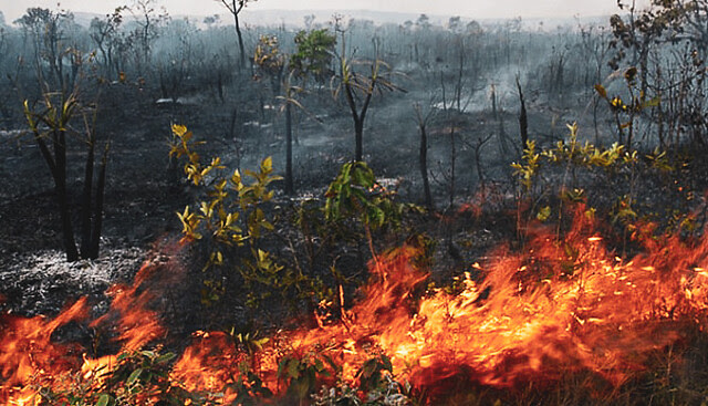 Con la llegada del llamado “verano amazónico”, la selva se queda más susceptible a incendios - Créditos: Foto: Alcaldía de Diamantino (Mato Grosso)