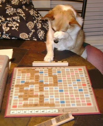 Dog-Scrabble-Game