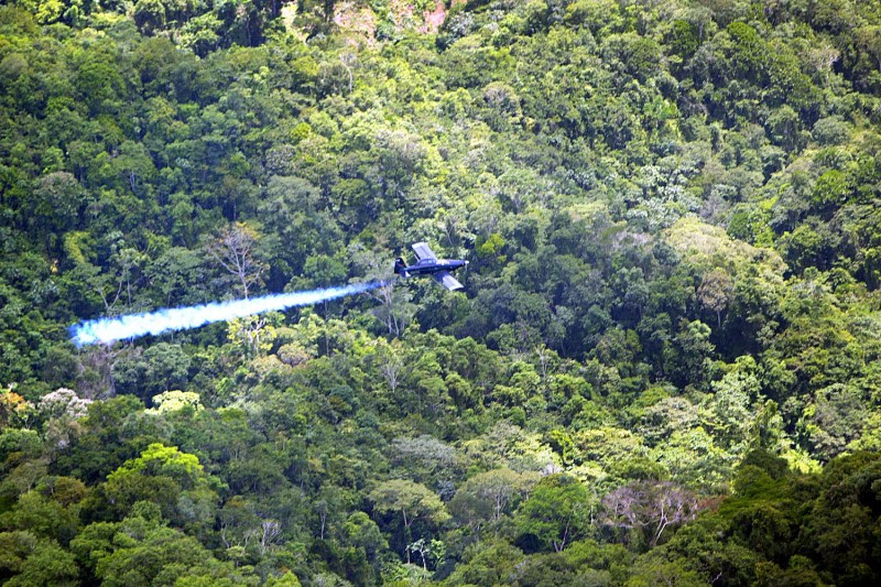 A Colombian police fumigation plane sprays herbicides on coca plants in the suburbs of Medellín, Colombia, on July 23, 2003.