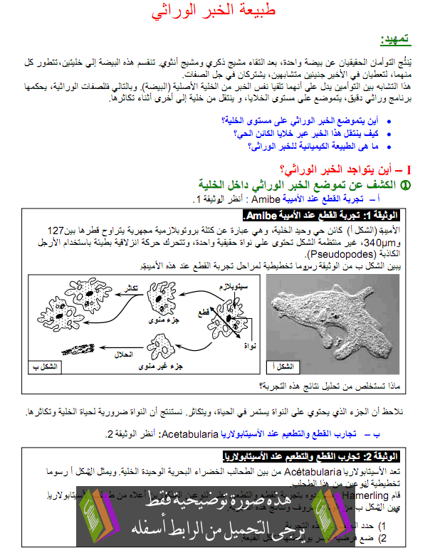 درس القوانين الاحصائية لانتقال الصفات الوراثية عند ثنائيات الصيغة الصبغية – علوم الحياة والأرض – الثانية باكالوريا علوم زراعية Mafhom-alkhabar-alwirati